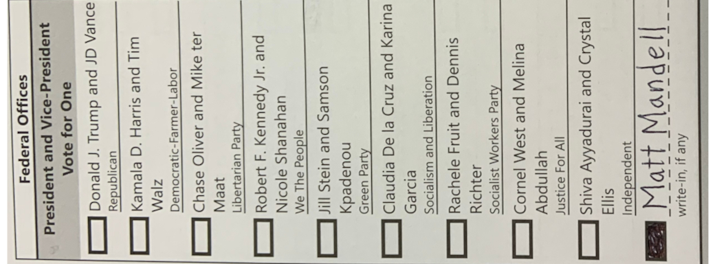 I voted for myself to be President, today for November 5, 2024